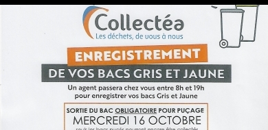 COLLECTEA